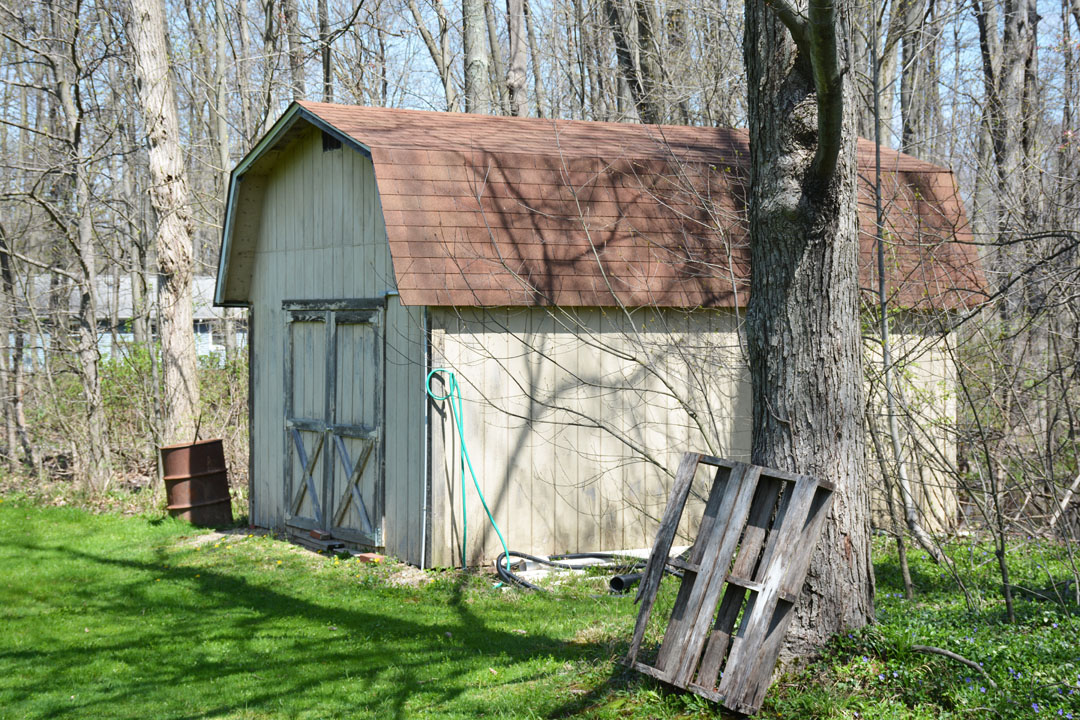 Shed